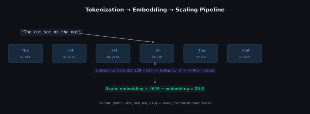 Three-stage pipeline: text to token IDs to embedding vectors to scaled embeddings